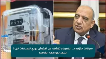 سرقات متزايدة.. الكهرباء تكشف عن تفتيش دوري للعدادات كل 3 أشهر لمواجهة الظاهرة